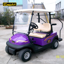 Одобренный CE 2 местный троянский батарея электрический гольф-багги на заказ мини-гольф
